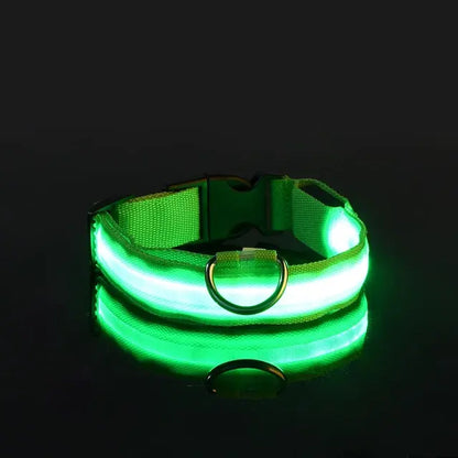 collar para perro con luz verde