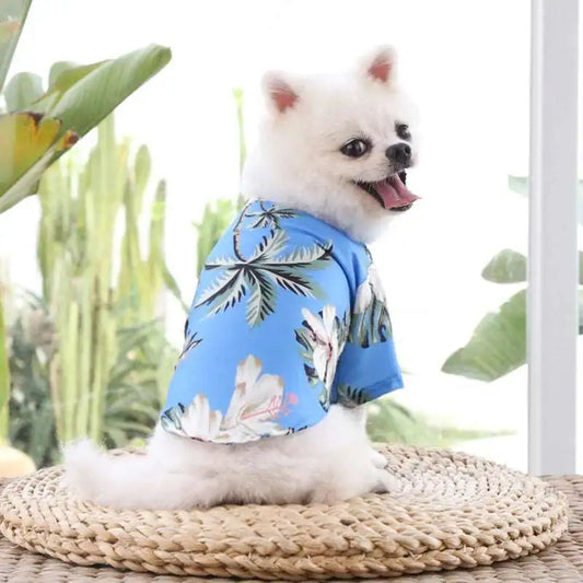 Camisa hawaiana para perro modelando camisa celeste