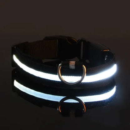 collar para perro con luz blanco