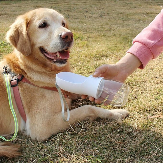 Botella de Agua para Perro