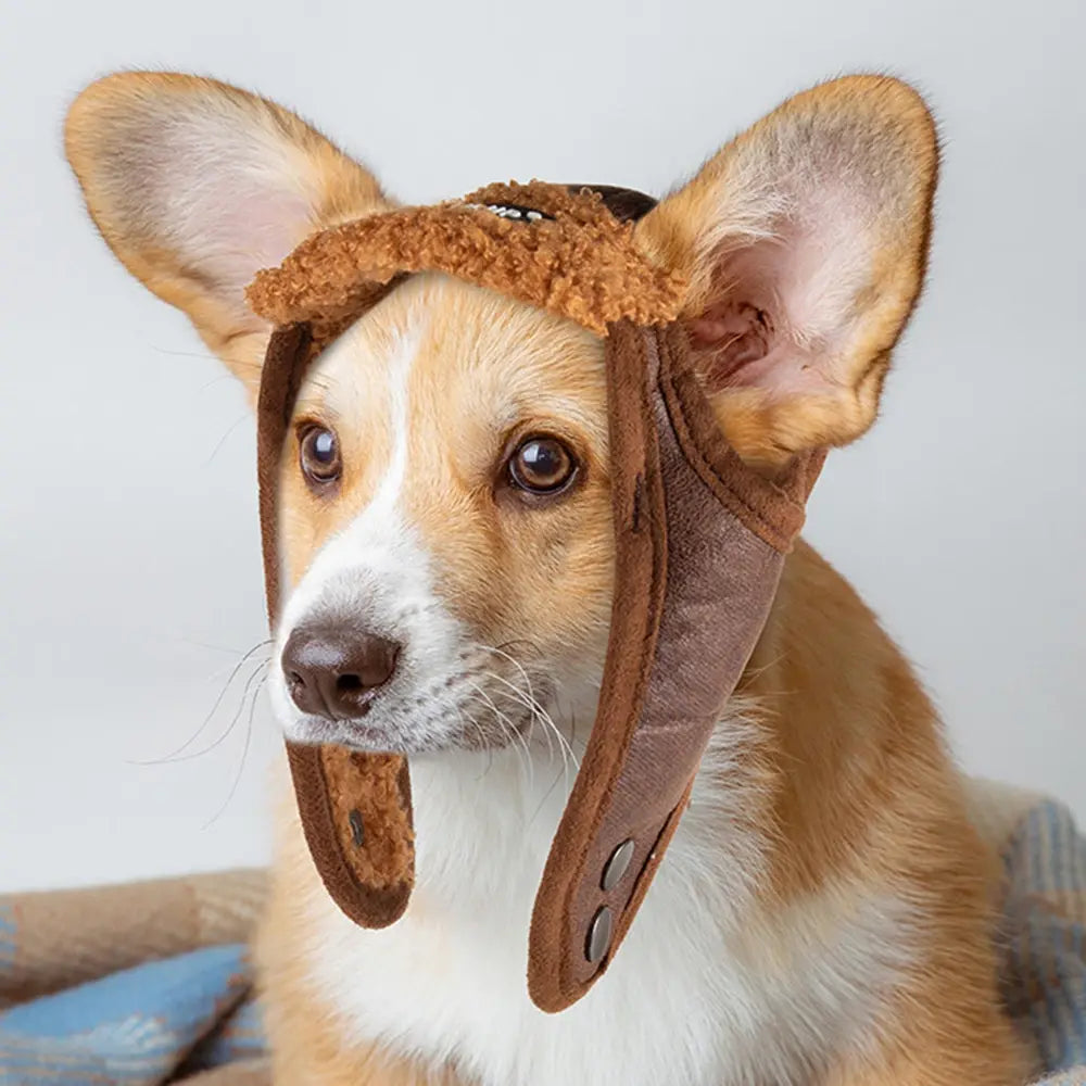 Gorro de Invierno para Perro modelo