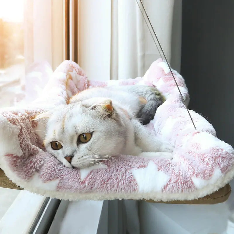 hamaca de ventana para gatos con gato tierno acostado