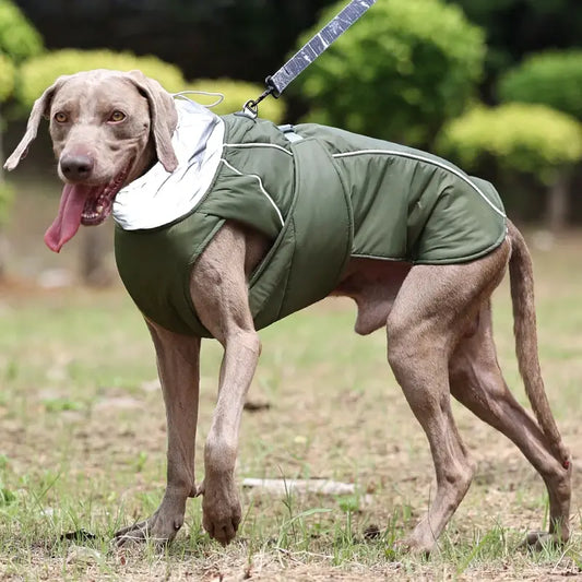 Impermeable para perro