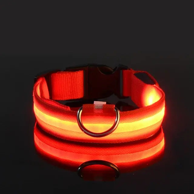 collar para perro con luz rojo