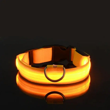 collar para perro con luz amarillo