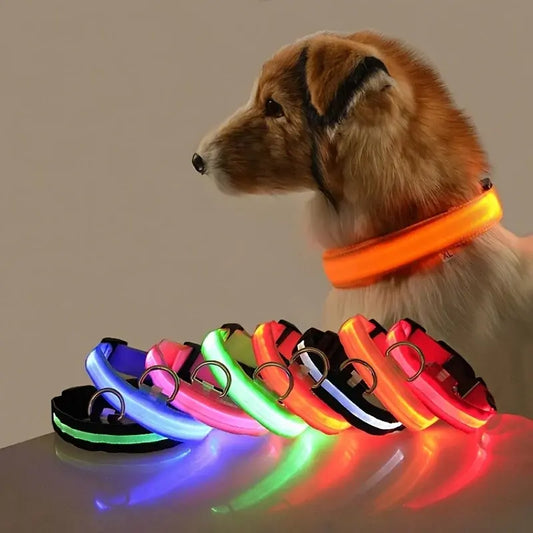 collar para perro con luz variedades