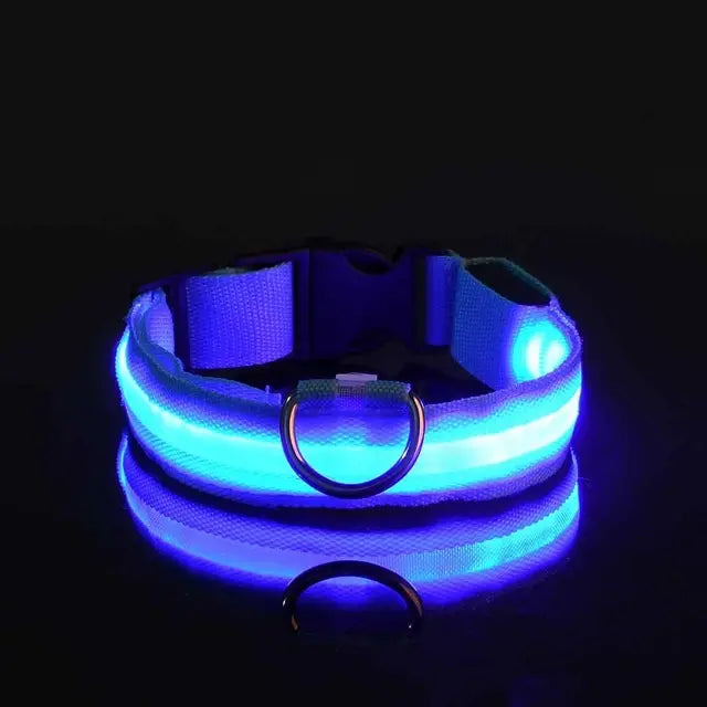 collar para perro con luz azul