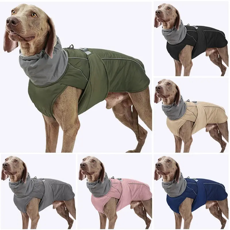 Impermeable para perro colores