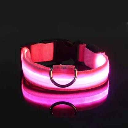 collar para perro con luz rosa